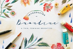 Brandine Script Amp Review: A Versatile Design Asset for Creative Sellers