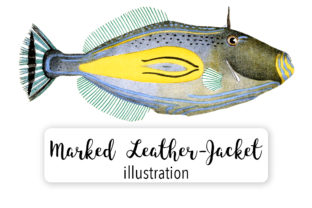 Horse Shoe Marked Leather Jacket Watercolor Svg: A Versatile Illustration for Creative Branding
