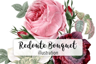 Redoute Watercolor Flower Bouquet: A Polished Illustration for Content Creators