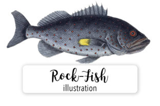 Rock Fish Watercolor Embroidery Design Review