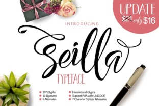 Seilla Script Review: A Designerβs Perspective on Real Project Use