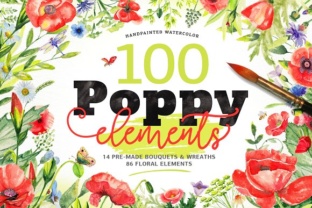 Watercolor DIY Poppy Pack: A Fresh Illustration Asset for Content Creators